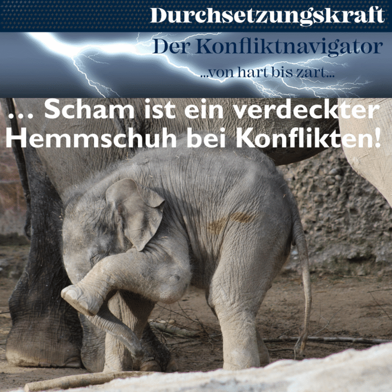 Scham in Konflikten